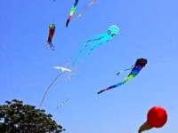 Le cerf-volant : un loisir dans le vent