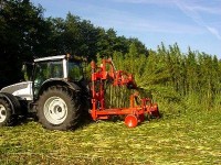 Le chanvre : histoire et utilisations