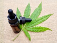 Le chanvre en cosmétique : un nouvel ingrédient tendance