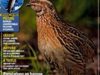 Le Chasseur français : l'un des plus anciens magazines de France