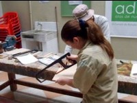 Le contrat de génération : guide pratique