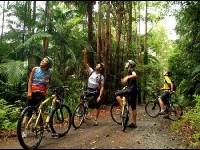 Le cyclotourisme : des vacances riches de découvertes