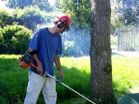 Le débroussaillage : guide pratique