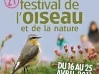 Le Festival de l'oiseau et de la nature : un rendez-vous en Baie de Somme