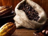 Le Festival du chocolat de Châtellerault : un rendez-vous à ne pas manquer