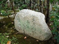 Le haïku ou l'art du détail