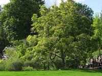 Le Jardin d'Acclimatation : un parc familial dans l'Ouest parisien
