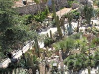 Le jardin exotique d'Eze : un jardin suspendu au-dessus de la Méditerranée
