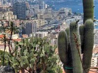 Le Jardin exotique de Monaco : le royaume des cactées et des plantes succulentes