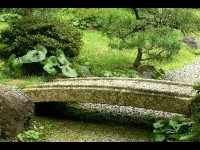 Le jardin feng shui : guide pratique