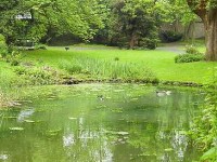 Le jardin sauvage : un concept en vogue