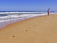 Le kaizen ou comment changer pas à pas