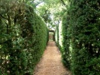 Le labyrinthe de Merville : une aventure pour petits et grands