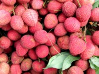 Le litchi : 5 choses insolites à savoir sur ce fruit