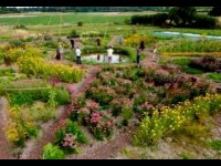 Le mandala végétal : une création tendance dans les jardins
