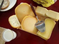 Le manque de calcium : symptômes et solutions