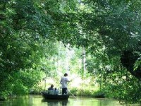 Le marais poitevin
