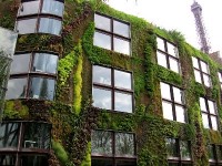 Le mur végétal : un concept innovant