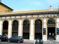 Le Muséum d'histoire naturelle de Nice : la nature à l'honneur