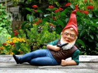 Le nain de jardin : origines et phénomène de mode