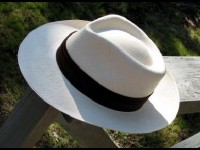 Le panama : le plus célèbre des chapeaux de paille