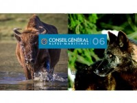 Le Parc Alpha et la réserve biologique des Monts d'Azur signent un partenariat