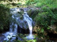 Le Parc de la Brague : une promenade au fil de l'eau
