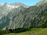 Le parc du Mercantour candidat au patrimoine mondial de l'UNESCO