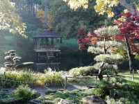 Le Parc Oriental de Maulévrier : quelles nouveautés en 2021 ?