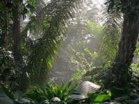 Le Parc Phoenix : un parc floral à découvrir à Nice