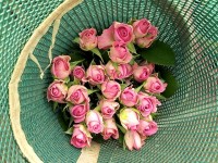 Le parfum de Grasse : un savoir-faire inscrit au patrimoine immatériel de l'UNESCO