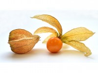 Le physalis : 5 choses étonnantes à savoir sur ce fruit