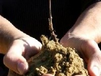 Le placement éthique : des investissements alliant écologie et performance