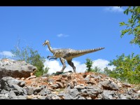 Le plus petit dinosaure connu trouvé dans l'ambre