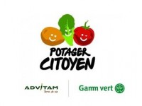 Le Potager Citoyen : des jardiniers s'engagent pour les Restos du Coeur