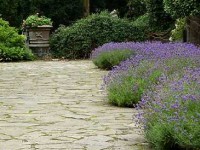 Le revêtement de sol extérieur : que choisir ?