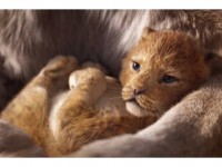 Le Roi Lion : Disney prépare un remake pour 2019