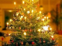 Le sapin de Noël : symbolique et décorations des origines à nos jours
