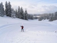 Le ski de fond, un défi sportif au contact de la nature