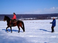 Le ski joëring : un sport de glisse… équestre !