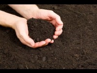 Le sol de jardin : les secrets d'une bonne terre