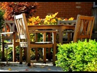 Le teck : présentation et entretien