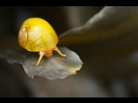 Le Tour de France de la biodiversité : une exposition à Paris