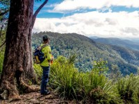 Le tourisme régénératif : tourisme de demain ?