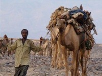 Le tourisme responsable