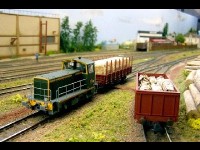 Le train miniature : présentation et histoire