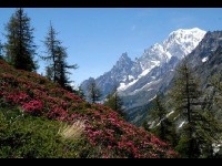 Le Val d'Aoste : une superbe région de montagne