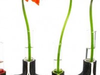 Le vase : histoire d'un objet décoratif