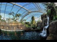 Le zoo de Vincennes fait peau neuve