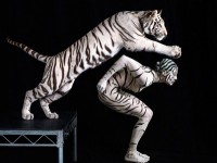 Lennette Newell, Séduction : une expo photo à la Galerie Photo12